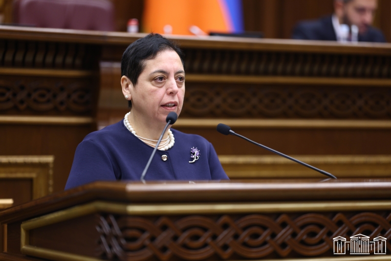Srbuhi Hakobyan is having a speech at the National Assembly